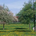 Bodnegg-Umgebung