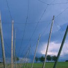 Bodnegg-Umgebung