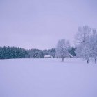 Bodnegg im Winter