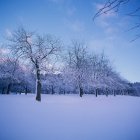 Bodnegg im Winter